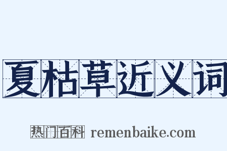 夏枯草近义词是什么意思的图片